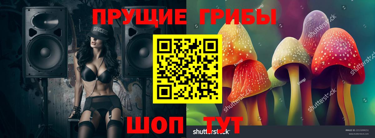 Рубцовск  Псилоцибиновые грибы MAGIC MUSHROOMS  дарнет шоп  Вход с VPN 